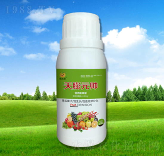 ����Ԫ��-���_(d��)���ʘI(y��)