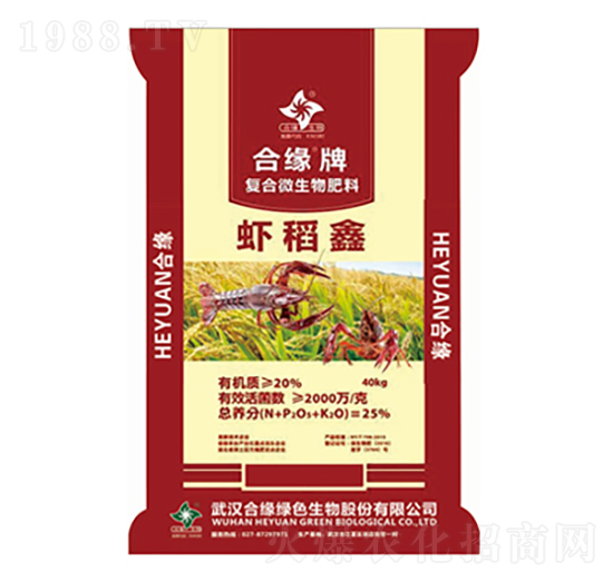 �ͺ��������-�r����-�Ͼ���