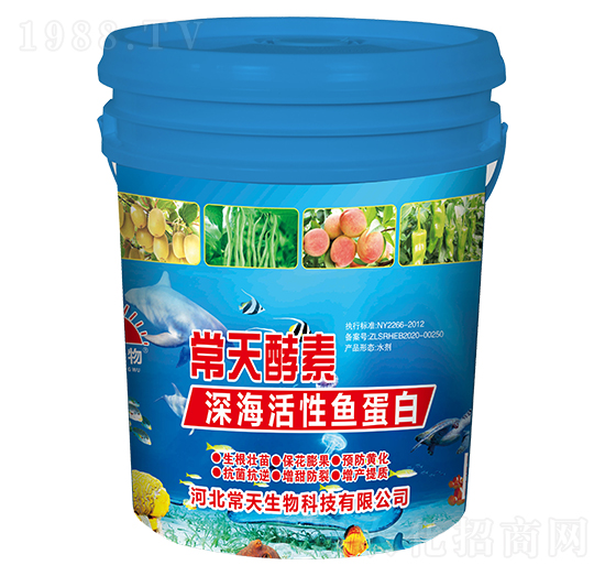 ��������~����-�������-��������