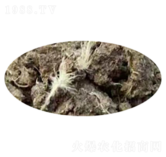 ���u�S-�ָ���