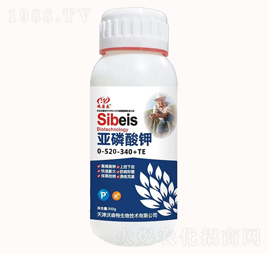 �������520-340+TE-ʩ��ɭ-��ɭ��