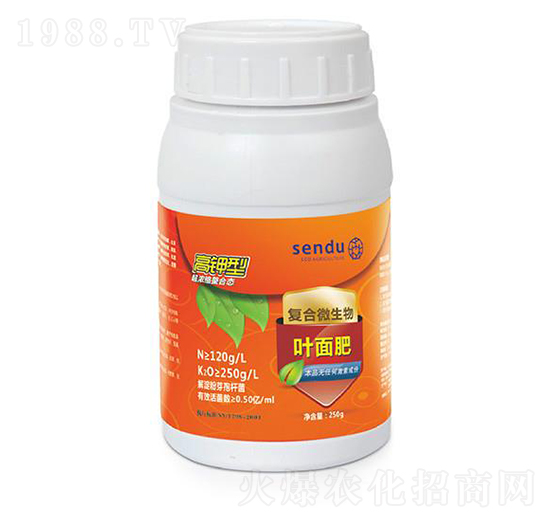 ����͏�(f��)��΢�����~���-ɭ��