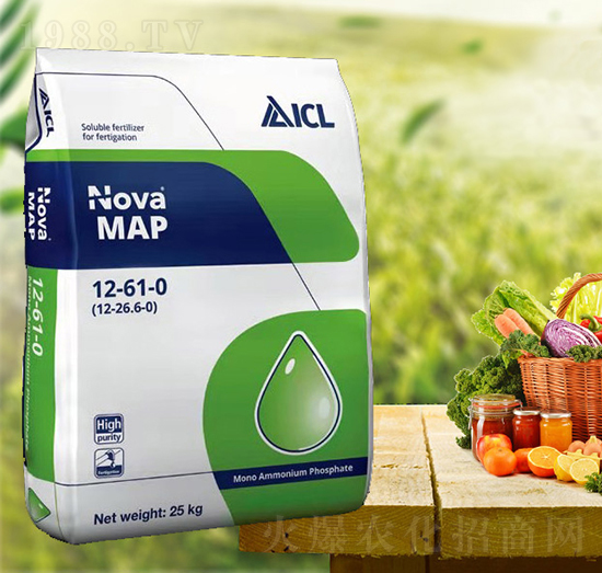 �Z����12-61-0-���T�r�I(y��)