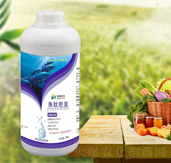 �����͝O�ķʻ�-���T�r(n��ng)�I(y��)