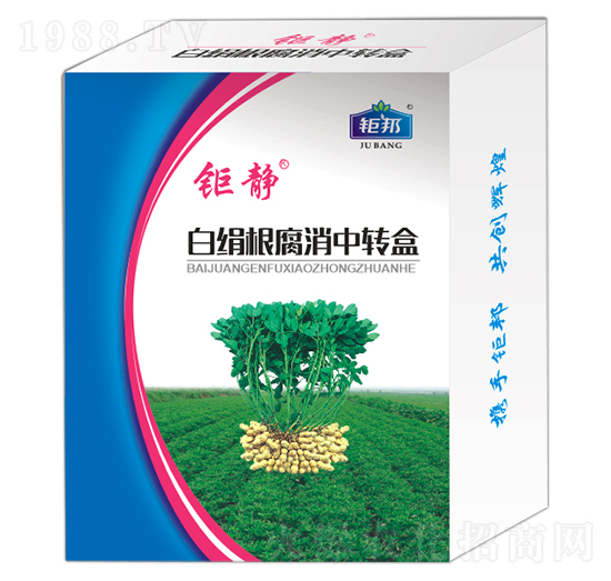 �׽����������D(zhu��n)�� ��o ⠰��r(n��ng)�I(y��)