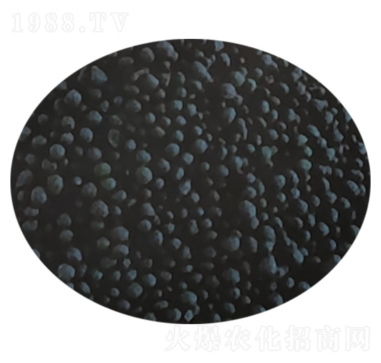 �����ЙC�� �v�\����