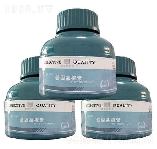 ������ֲ�� �ɊW�_