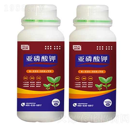 �������-���R����