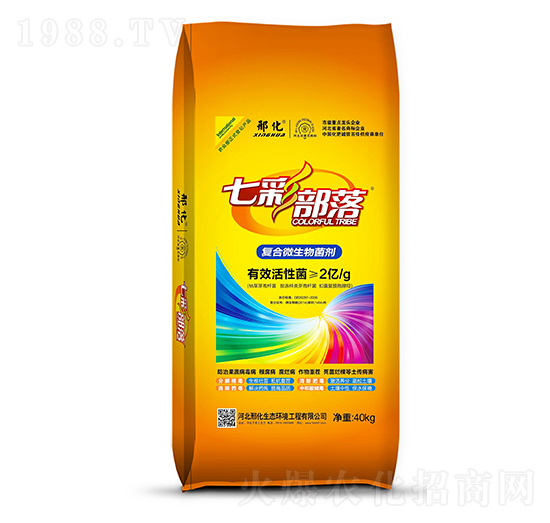 �ͺ�΢������� �߲ʲ��� �ϻ�