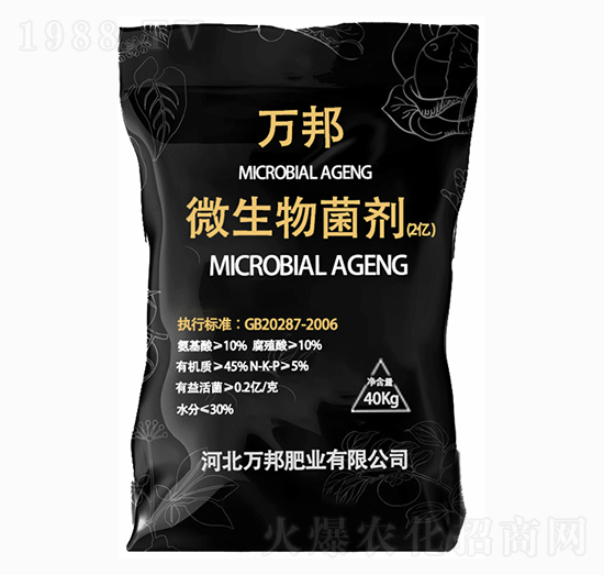 �f��΢����������Ƀ|����-�f��