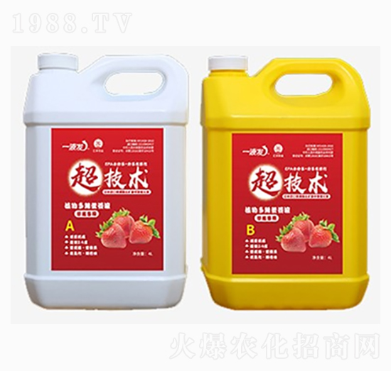 ��ݮ��(zhu��n)��ˮ�ܷ�-һҺ�l(f��)-�R�S�r(n��ng)�I(y��)