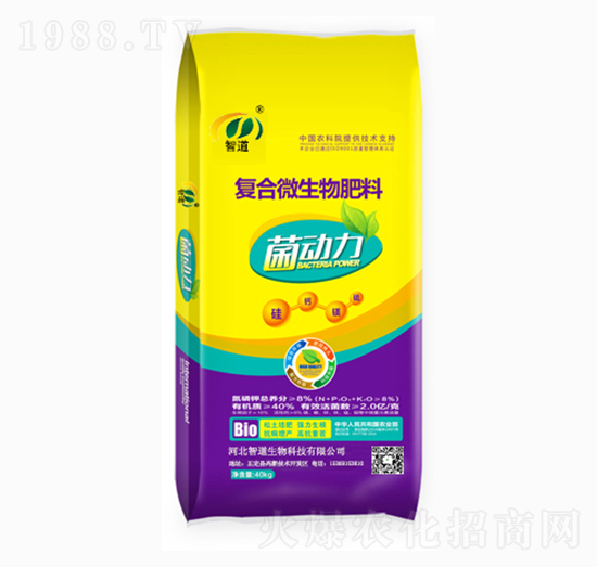 ��(f��)��΢�������-������-�ǵ�