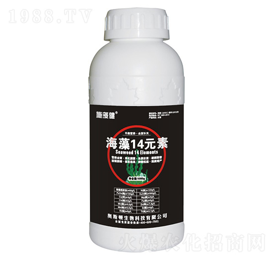 ����14Ԫ��-ʩ�ཡ-�W˹�D����