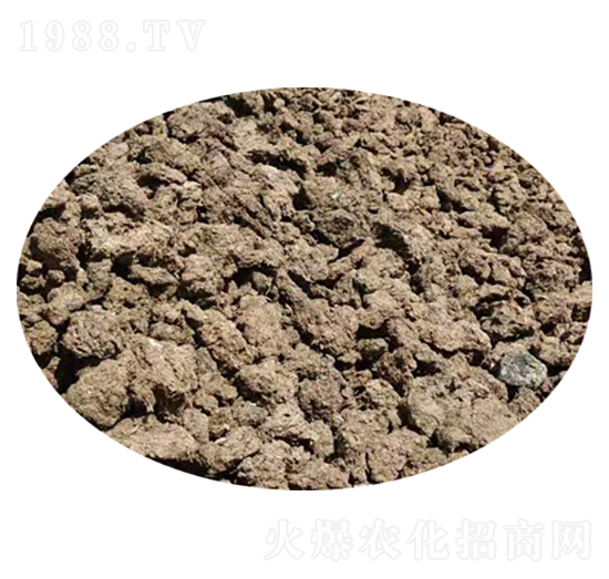 ţ�S-�f�Z���r(n��ng)�I(y��)