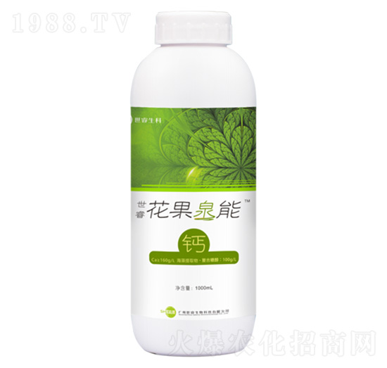 ��������Ȫ���}-�������