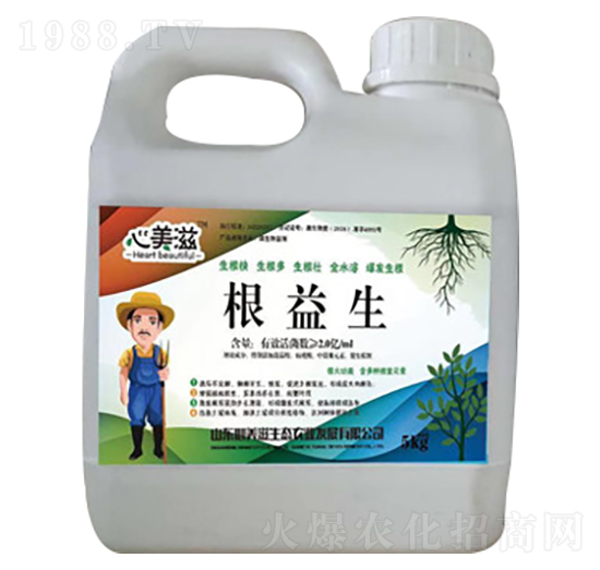 ������-������