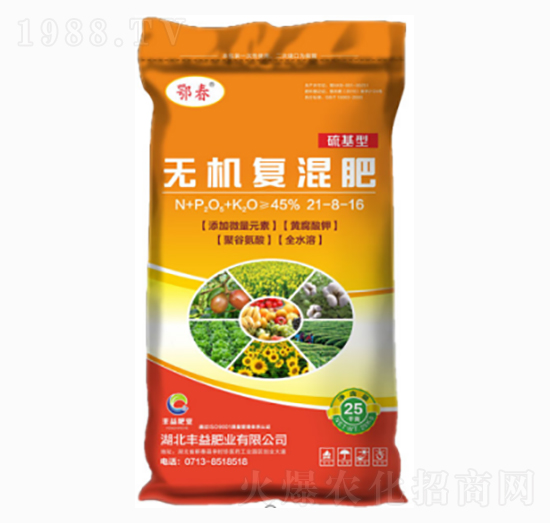 ����͟o�C��(f��)���21-8-16-�S��ʘI(y��)