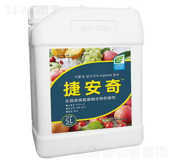 �������x����������̼���-�ݰ���-��T����