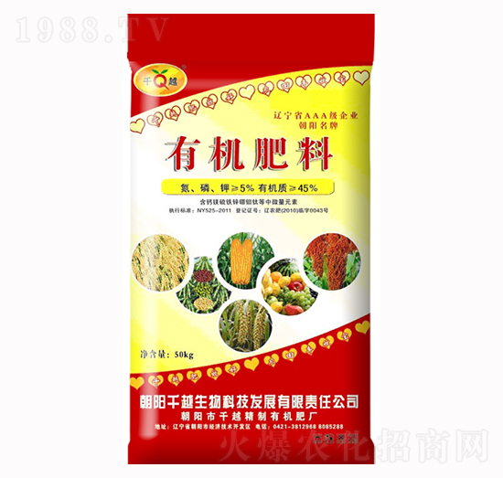 �ЙC(j��)����-ǧԽ