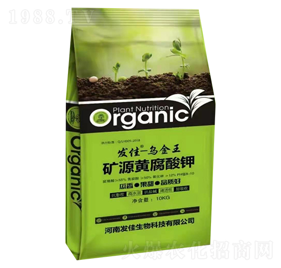 �VԴ�S�����-������-�l(f��)��