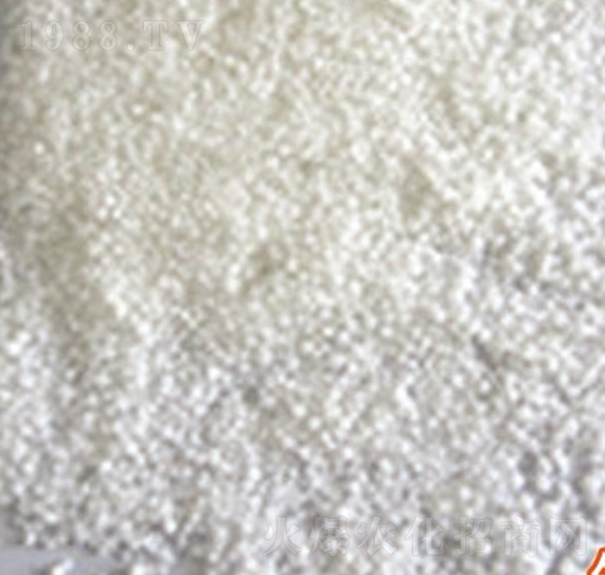 �̌��}-���R