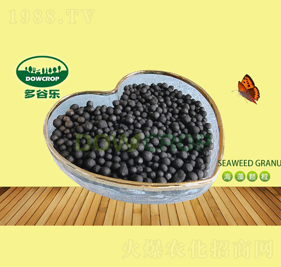 �����ЙC(j��)���w��-��Ș�(l��)