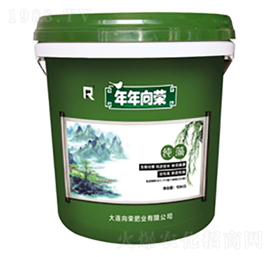 ������s�����-��s�ʘI(y��)