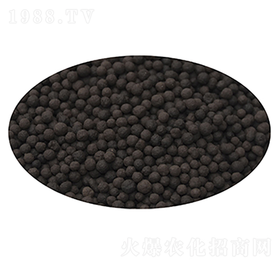 �ЙC�ʣ��w���ͣ�-��̩