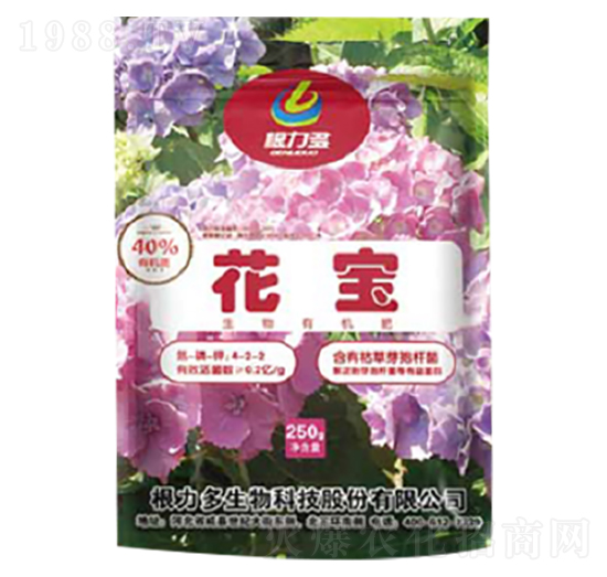 ����4-2-2-������