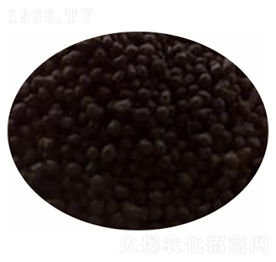 ����(sh��)���÷�-���r(n��ng)�ʘI(y��)