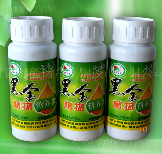 �ڽ�ֲ��I�B(y��ng)Һ-�G��