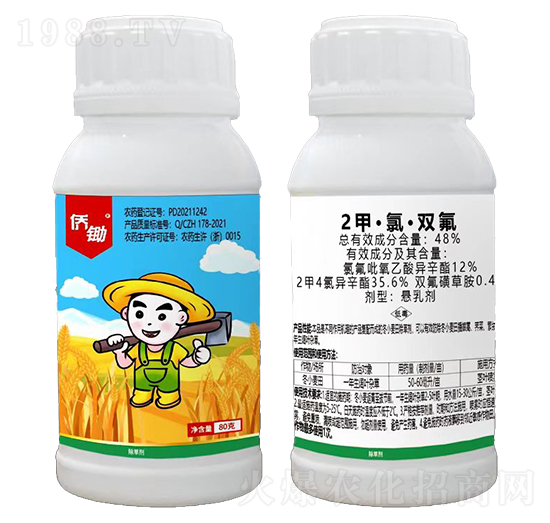 80��2�ס��ȡ��p��-�S�z-(li��n)���r�I(y��)