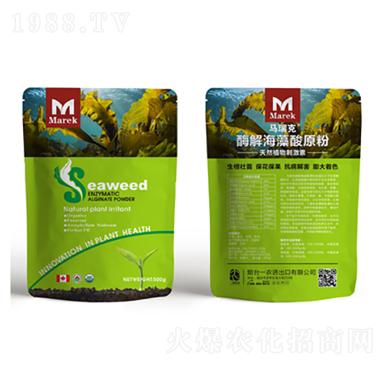 ø�⺣����ԭ��-�R���-һ�r(n��ng)�r(n��ng)�I(y��)