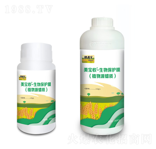 ���ﱣ�o(h��)Ĥ-������-�M������