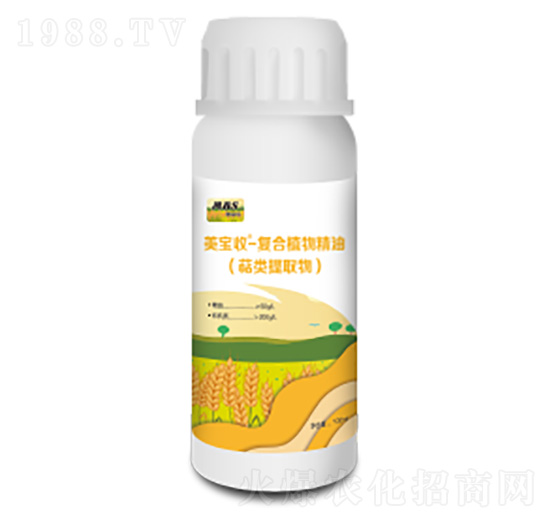 �ͺ�ֲ�ﾫ��-������-�M������