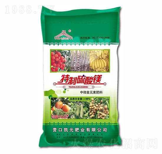 ���|(zh��)�����V-���ʘI(y��)