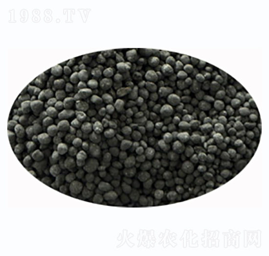 �����ЙC���w��-����