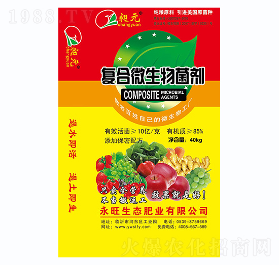 �ͺ�΢�������-����