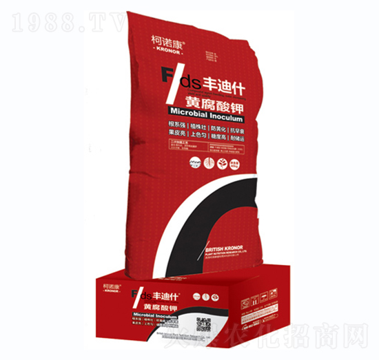 �S�����-�S��ʲ-���Z��-�|�Ҙ�