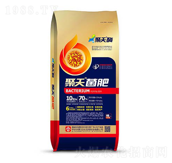 40kg�������-���r�d̩