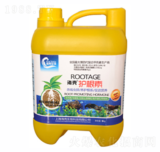 �����o����-��������