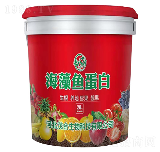 �����~(y��)����-�߰˷�-ï������