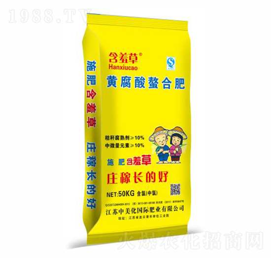 �S�������Ϸ�-���߲�-������