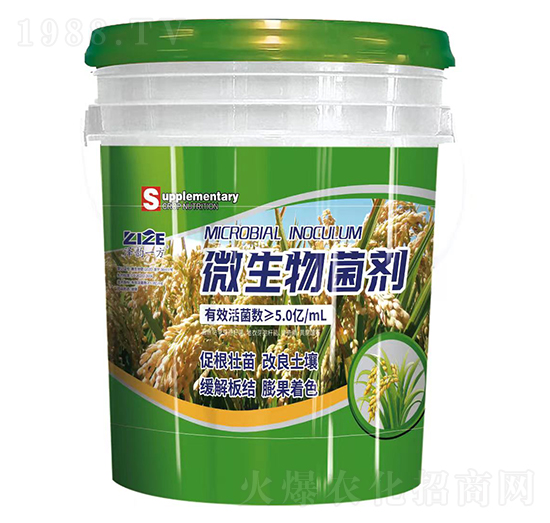 ���һ��΢�������-���r(n��ng)���