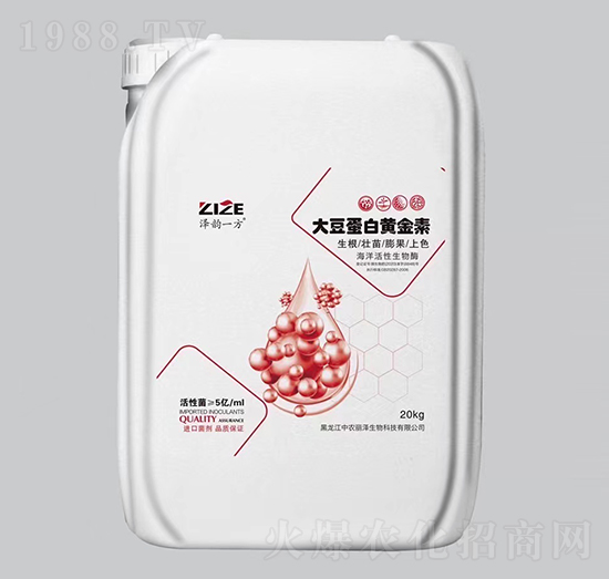 �󶹵����S����-���һ��-���r(n��ng)���