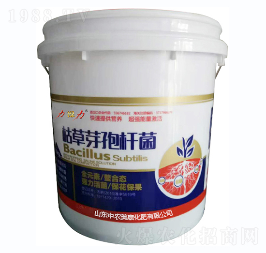 �ݲ�ѿ�ߗU��-������-���r����