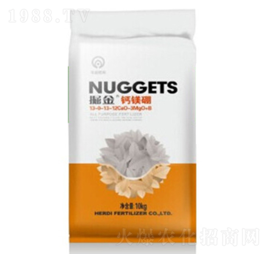 ����}�V��-�̵�