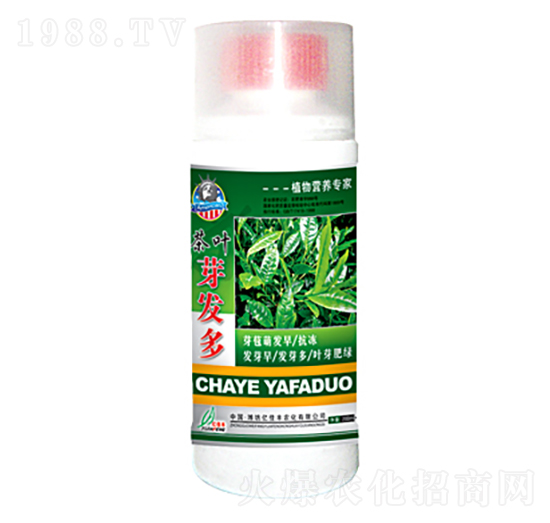 ѿ�l(f��)��-�|���S