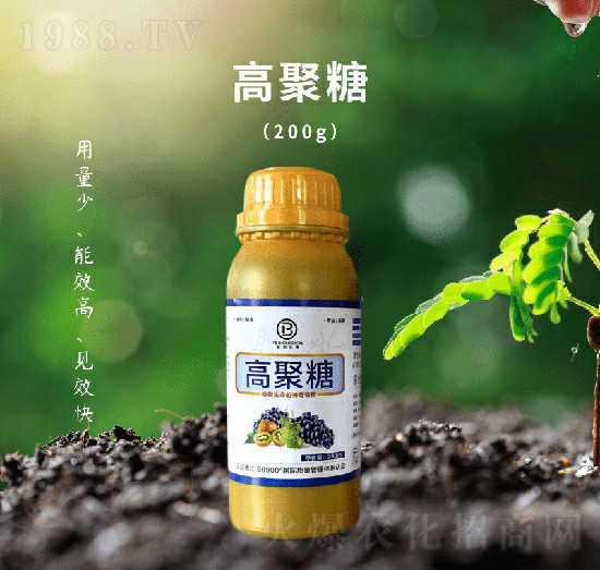 �߾��ǠI(y��ng)�B(y��ng)Һ-��������