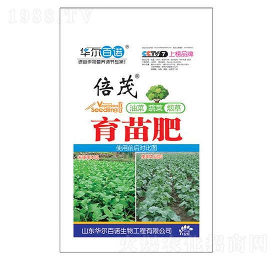 �Ͳ��߲˟��݌��������-�A�����Z